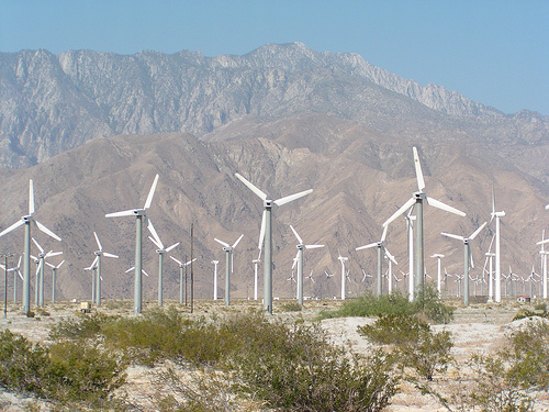 wind3.jpg